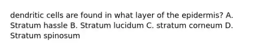 dendritic cells are found in what layer of the epidermis? A. Stratum hassle B. Stratum lucidum C. stratum corneum D. Stratum spinosum