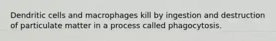 Dendritic cells and macrophages kill by ingestion and destruction of particulate matter in a process called phagocytosis.