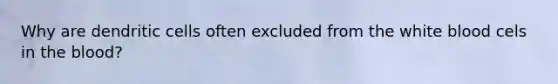 Why are dendritic cells often excluded from the white blood cels in the blood?