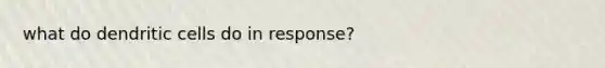 what do dendritic cells do in response?