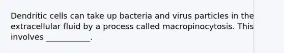 Dendritic cells can take up bacteria and virus particles in the extracellular fluid by a process called macropinocytosis. This involves ___________.