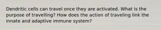 Dendritic cells can travel once they are activated. What is the purpose of travelling? How does the action of traveling link the innate and adaptive immune system?