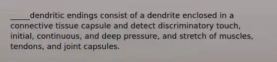 _____dendritic endings consist of a dendrite enclosed in a <a href='https://www.questionai.com/knowledge/kYDr0DHyc8-connective-tissue' class='anchor-knowledge'>connective tissue</a> capsule and detect discriminatory touch, initial, continuous, and deep pressure, and stretch of muscles, tendons, and joint capsules.