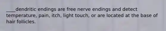 ____dendritic endings are free nerve endings and detect temperature, pain, itch, light touch, or are located at the base of hair follicles.