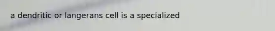 a dendritic or langerans cell is a specialized