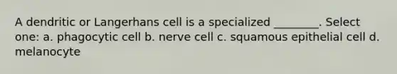 A dendritic or Langerhans cell is a specialized ________. Select one: a. phagocytic cell b. nerve cell c. squamous epithelial cell d. melanocyte