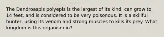The Dendroaspis polyepis is the largest of its kind, can grow to 14 feet, and is considered to be very poisonous. It is a skillful hunter, using its venom and strong muscles to kills its prey. What kingdom is this organism in?