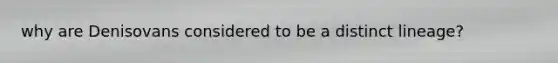 why are Denisovans considered to be a distinct lineage?