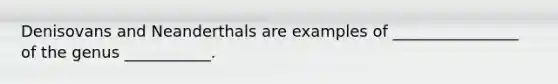 Denisovans and Neanderthals are examples of ________________ of the genus ___________.