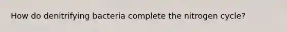 How do denitrifying bacteria complete the nitrogen cycle?