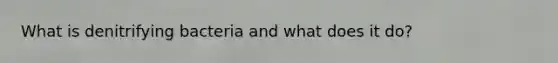 What is denitrifying bacteria and what does it do?