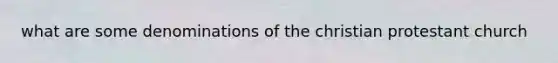 what are some denominations of the christian protestant church