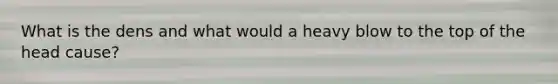 What is the dens and what would a heavy blow to the top of the head cause?