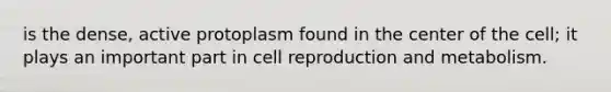 is the dense, active protoplasm found in the center of the cell; it plays an important part in cell reproduction and metabolism.