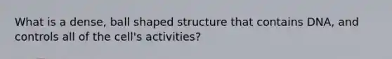 What is a dense, ball shaped structure that contains DNA, and controls all of the cell's activities?