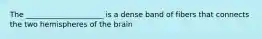 The _____________________ is a dense band of fibers that connects the two hemispheres of the brain