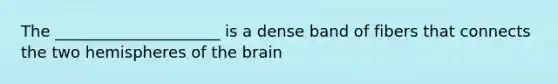 The _____________________ is a dense band of fibers that connects the two hemispheres of the brain