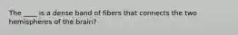 The ____ is a dense band of fibers that connects the two hemispheres of the brain?