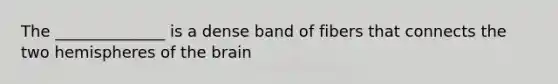 The ______________ is a dense band of fibers that connects the two hemispheres of the brain