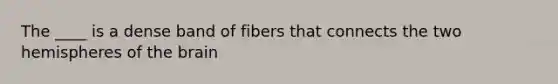 The ____ is a dense band of fibers that connects the two hemispheres of the brain