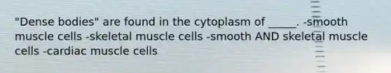 "Dense bodies" are found in the cytoplasm of _____. -smooth muscle cells -skeletal muscle cells -smooth AND skeletal muscle cells -cardiac muscle cells