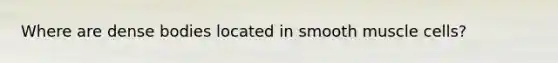Where are dense bodies located in smooth muscle cells?
