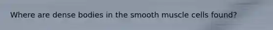 Where are dense bodies in the smooth muscle cells found?