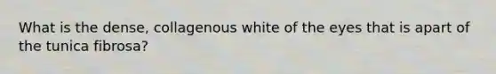 What is the dense, collagenous white of the eyes that is apart of the tunica fibrosa?