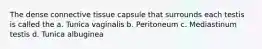 The dense connective tissue capsule that surrounds each testis is called the a. Tunica vaginalis b. Peritoneum c. Mediastinum testis d. Tunica albuginea