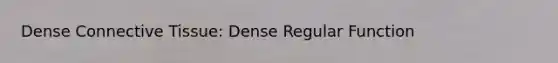 Dense Connective Tissue: Dense Regular Function