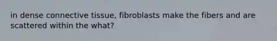 in dense connective tissue, fibroblasts make the fibers and are scattered within the what?