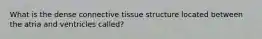 What is the dense connective tissue structure located between the atria and ventricles called?