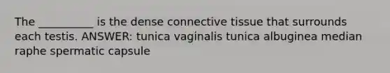 The __________ is the dense <a href='https://www.questionai.com/knowledge/kYDr0DHyc8-connective-tissue' class='anchor-knowledge'>connective tissue</a> that surrounds each testis. ANSWER: tunica vaginalis tunica albuginea median raphe spermatic capsule