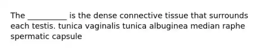 The __________ is the dense <a href='https://www.questionai.com/knowledge/kYDr0DHyc8-connective-tissue' class='anchor-knowledge'>connective tissue</a> that surrounds each testis. tunica vaginalis tunica albuginea median raphe spermatic capsule