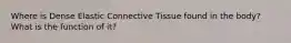 Where is Dense Elastic Connective Tissue found in the body? What is the function of it?