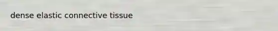 dense elastic connective tissue