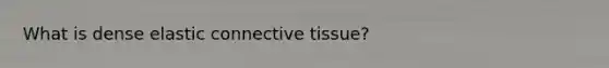 What is dense elastic connective tissue?