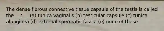 The dense fibrous connective tissue capsule of the testis is called the __?__. (a) tunica vaginalis (b) testicular capsule (c) tunica albuginea (d) external spermatic fascia (e) none of these