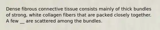 Dense fibrous <a href='https://www.questionai.com/knowledge/kYDr0DHyc8-connective-tissue' class='anchor-knowledge'>connective tissue</a> consists mainly of thick bundles of strong, white collagen fibers that are packed closely together. A few __ are scattered among the bundles.