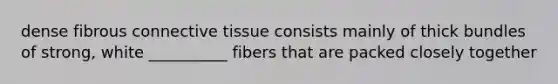 dense fibrous connective tissue consists mainly of thick bundles of strong, white __________ fibers that are packed closely together