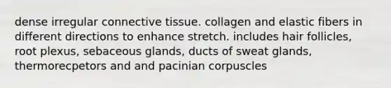 dense irregular connective tissue. collagen and elastic fibers in different directions to enhance stretch. includes hair follicles, root plexus, sebaceous glands, ducts of sweat glands, thermorecpetors and and pacinian corpuscles