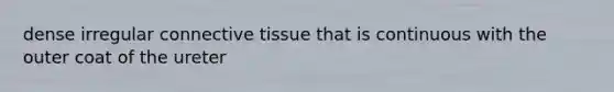 dense irregular connective tissue that is continuous with the outer coat of the ureter