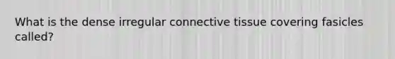 What is the dense irregular connective tissue covering fasicles called?