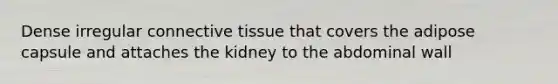 Dense irregular connective tissue that covers the adipose capsule and attaches the kidney to the abdominal wall