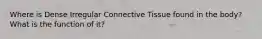 Where is Dense Irregular Connective Tissue found in the body? What is the function of it?