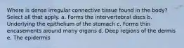 Where is dense irregular connective tissue found in the body? Select all that apply. a. Forms the intervertebral discs b. Underlying the epithelium of the stomach c. Forms thin encasements around many organs d. Deep regions of the dermis e. The epidermis