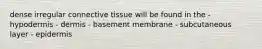 dense irregular connective tissue will be found in the - hypodermis - dermis - basement membrane - subcutaneous layer - epidermis