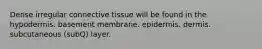 Dense irregular connective tissue will be found in the hypodermis. basement membrane. epidermis. dermis. subcutaneous (subQ) layer.