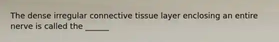 The dense irregular connective tissue layer enclosing an entire nerve is called the ______