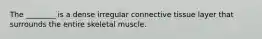 The ________ is a dense irregular connective tissue layer that surrounds the entire skeletal muscle.